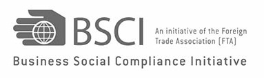 BSCI_logo_big